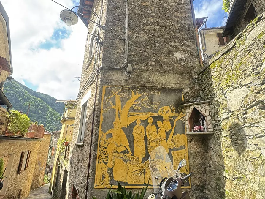 Immagine 39 di Terratetto in vendita  a Camaiore