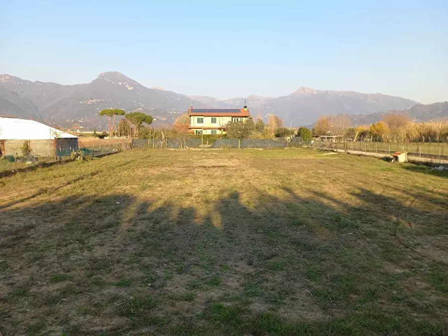 Immagine 1 di Terreno agricolo in affitto  a Pietrasanta