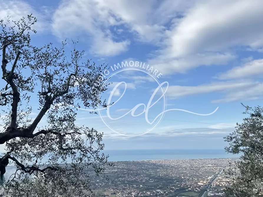 Immagine 46 di Terratetto in vendita  a Pietrasanta