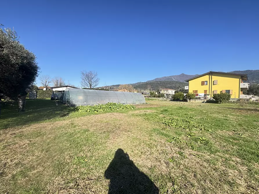 Immagine 4 di Terreno agricolo in vendita  a Pietrasanta