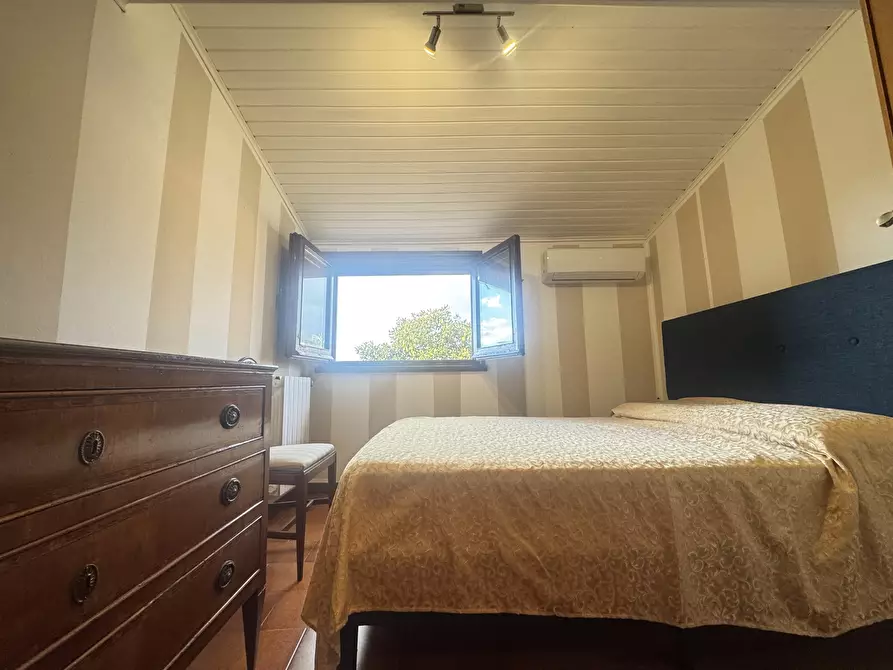 Immagine 32 di Mansarda in affitto  a Pietrasanta