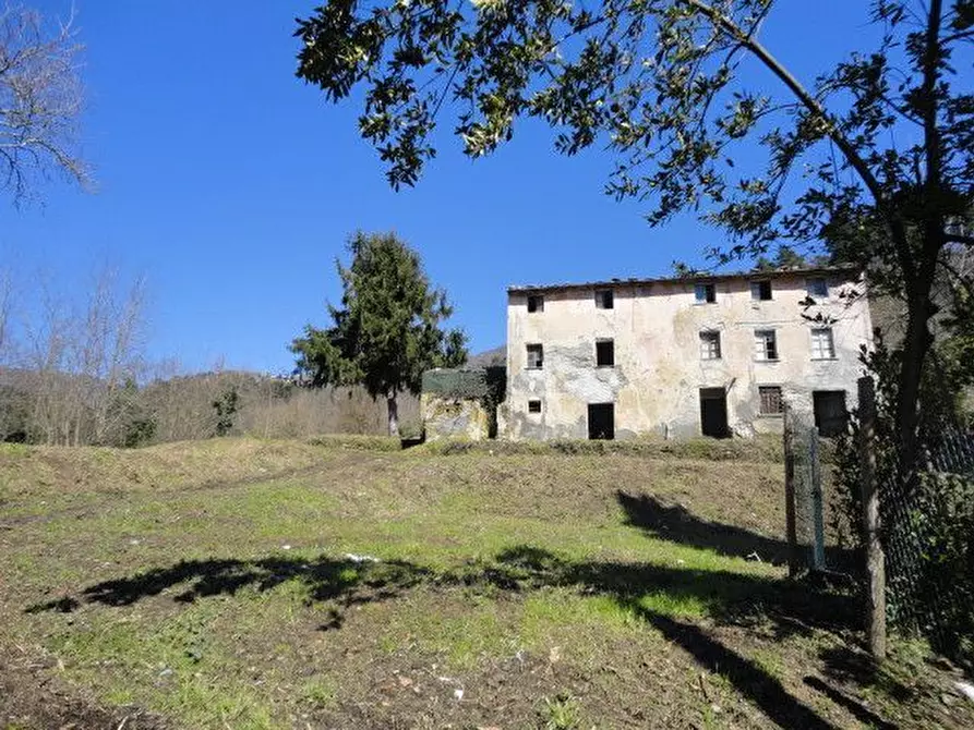 Immagine 2 di Rustico / casale in vendita  a Seravezza