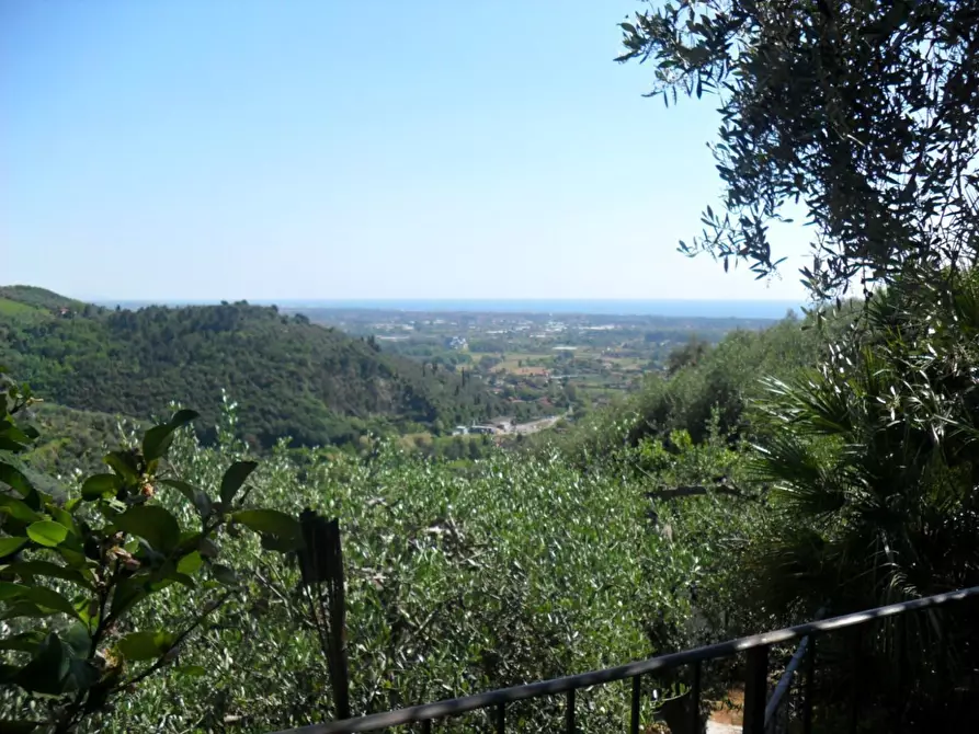 Immagine 24 di Casa indipendente in affitto  a Pietrasanta