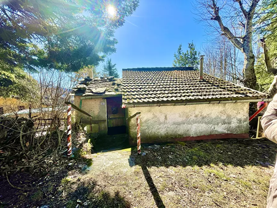 Immagine 77 di Casa bifamiliare in vendita  a Stazzema