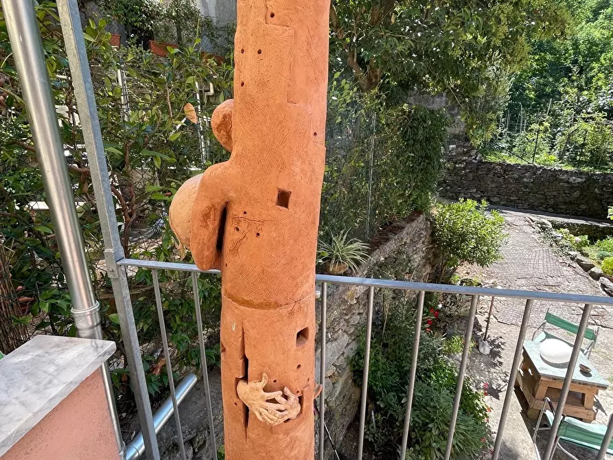 Immagine 31 di Terratetto in vendita  a Pietrasanta