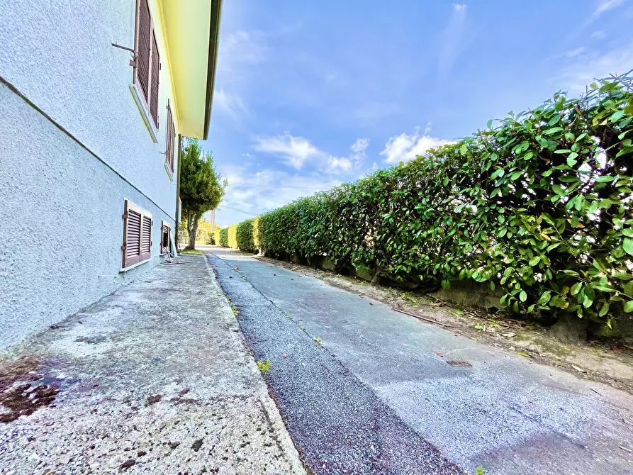 Immagine 13 di Villa in vendita  a Pietrasanta