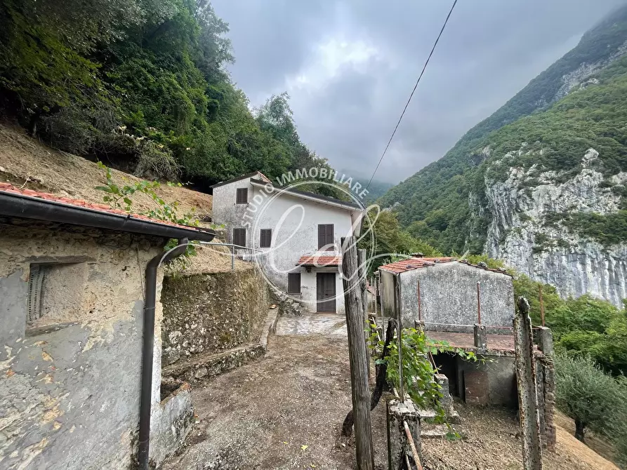 Immagine 1 di Porzione di casa in vendita  a Camaiore