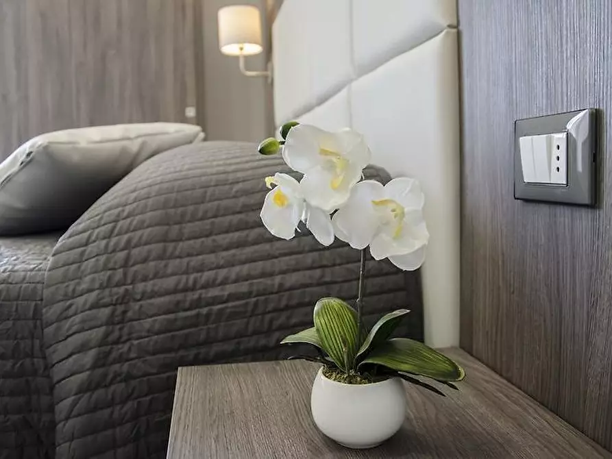 Immagine 8 di Bilocale in affitto  a Camaiore