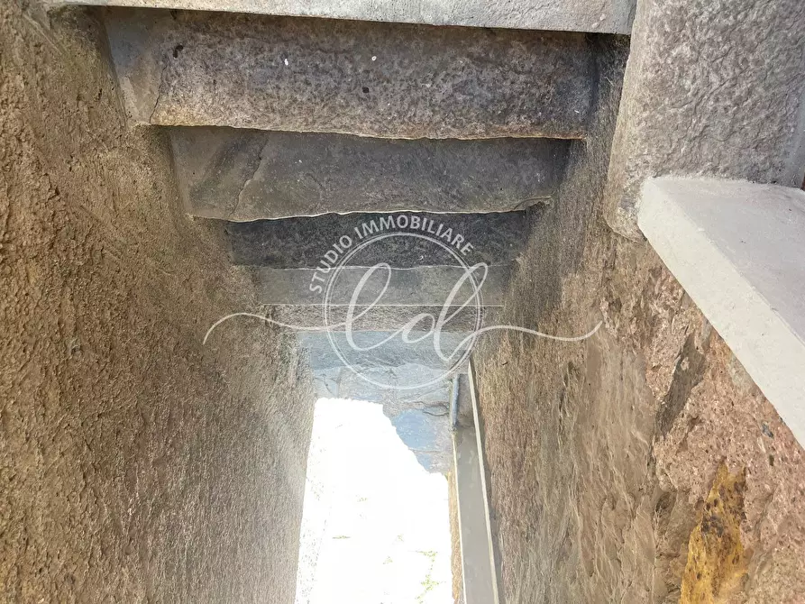 Immagine 23 di Terratetto in vendita  a Stazzema