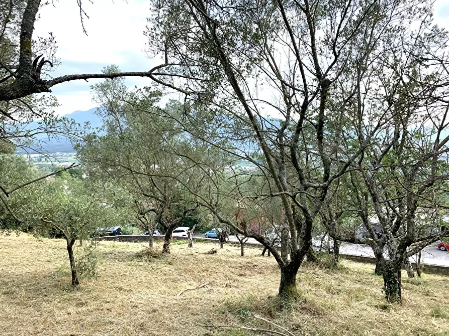 Immagine 10 di Terreno agricolo in vendita  in Via San Giorgetto a Anagni