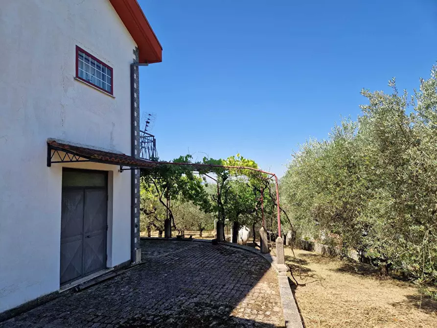 Immagine 13 di Villa in vendita  in Contrada Zancati Nuovo a Paliano