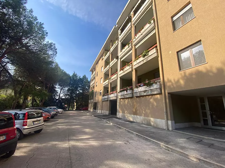 Immagine 1 di Quadrilocale in vendita  in VIA MAESTRI DEL LAVORO D'ITALIA 27 a Pescara