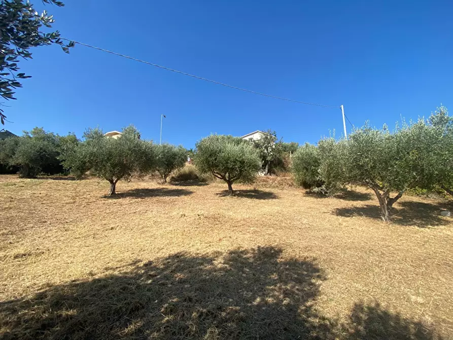 Immagine 19 di Porzione di casa in vendita  in Contrada Stagliano a Silvi