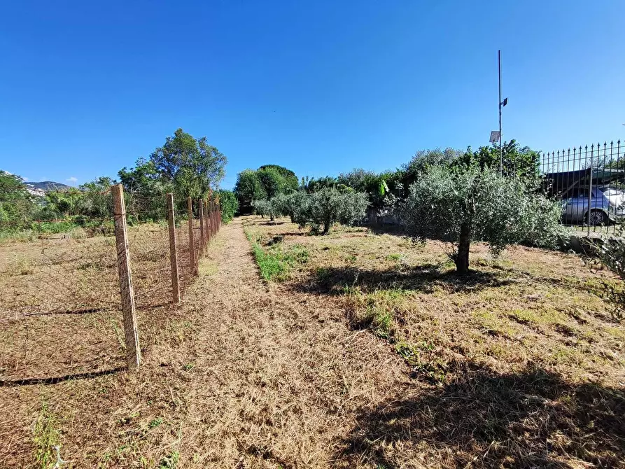 Immagine 9 di Terreno agricolo in vendita  in Via Colle Ponte a Guidonia Montecelio