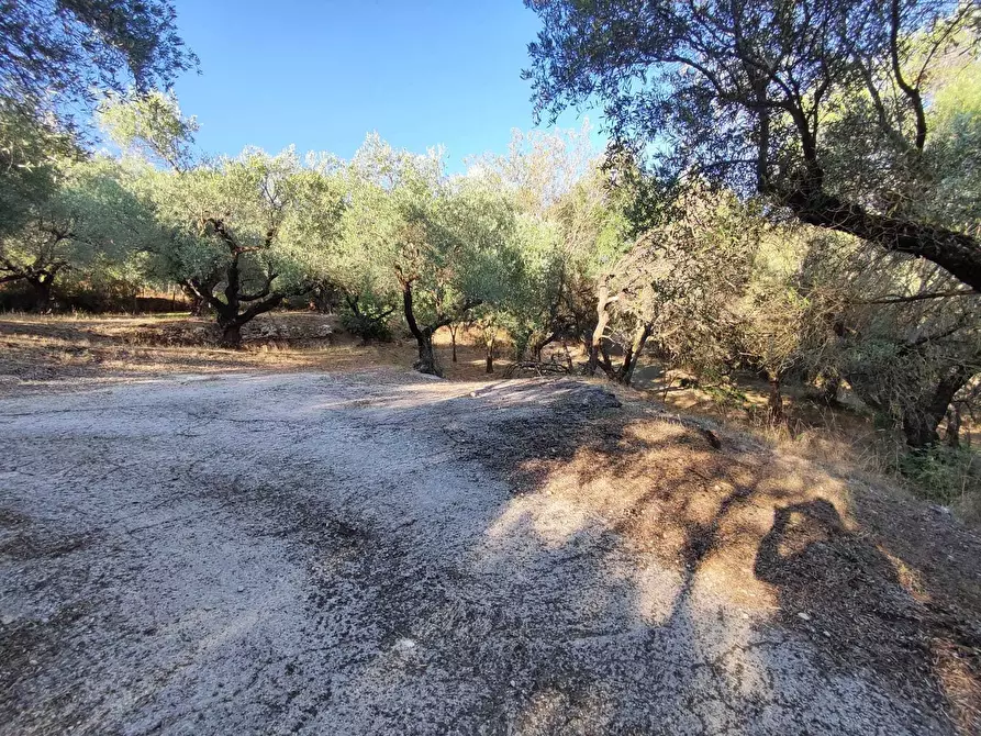 Immagine 20 di Terreno agricolo in vendita  in via caolini a Marcellina