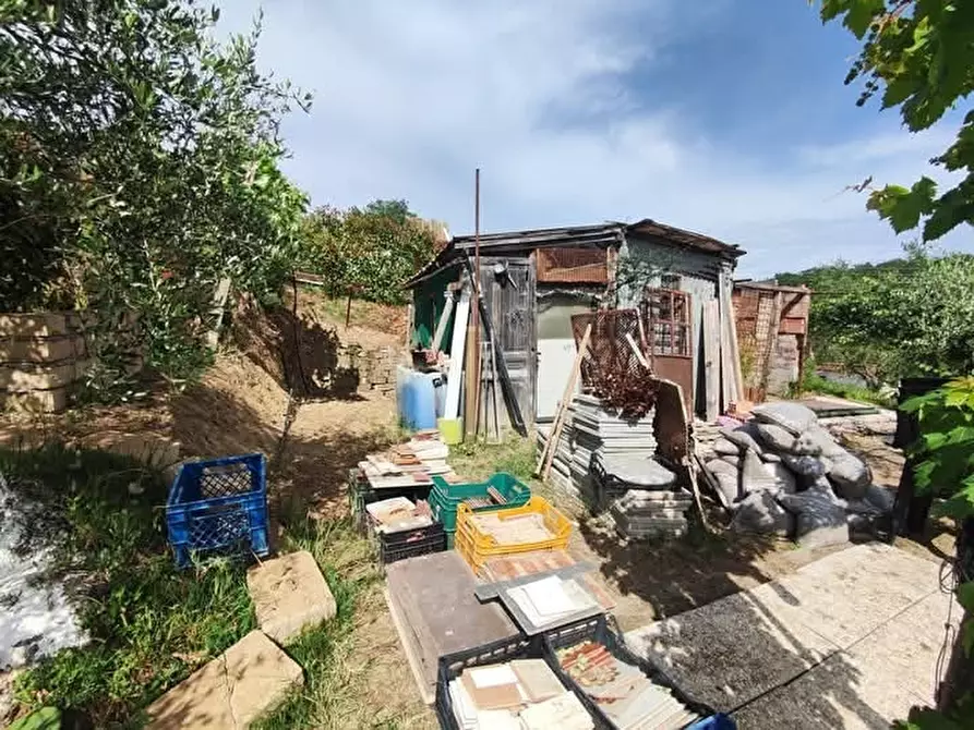 Immagine 13 di Terreno agricolo in vendita  in via monte palombino a Fonte Nuova