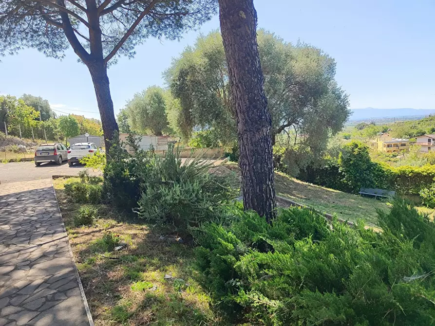 Immagine 25 di Trilocale in vendita  in Via Gaetano Donizetti 50 a Guidonia Montecelio