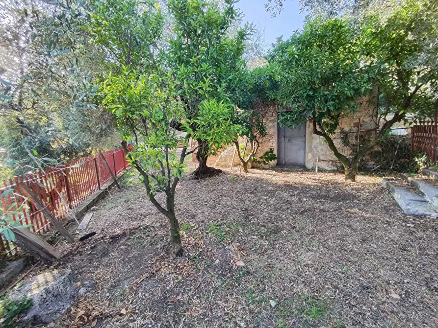 Immagine 9 di Terreno agricolo in vendita  in via caolini a Marcellina