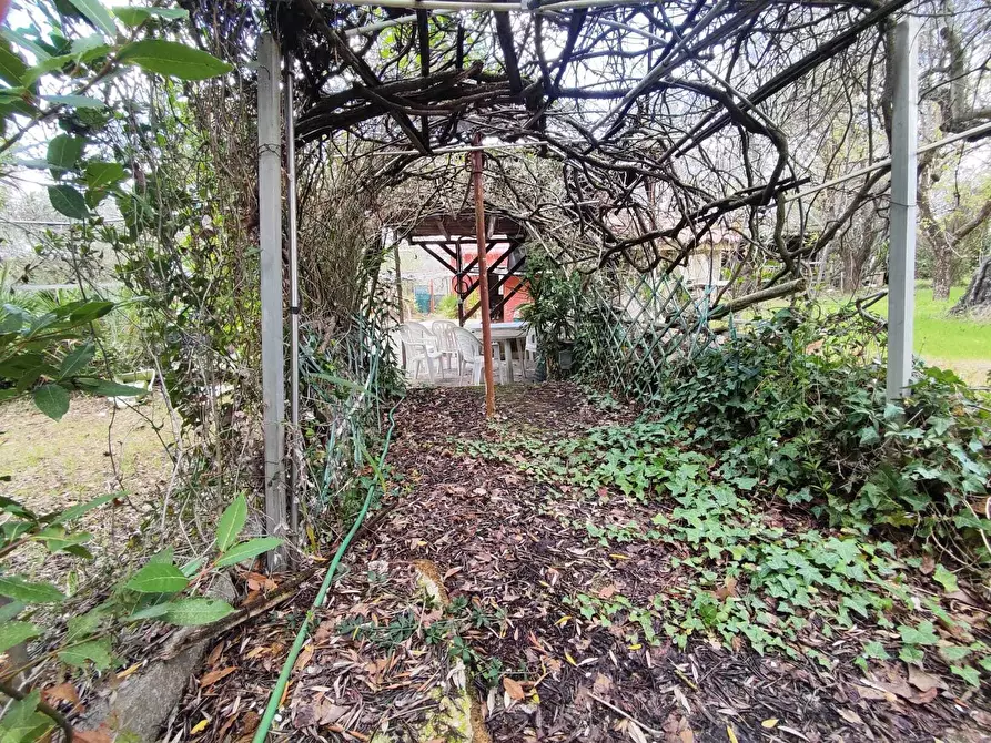 Immagine 6 di Terreno agricolo in vendita  in Via Dello Scalo Ferroviario 12 a Marcellina