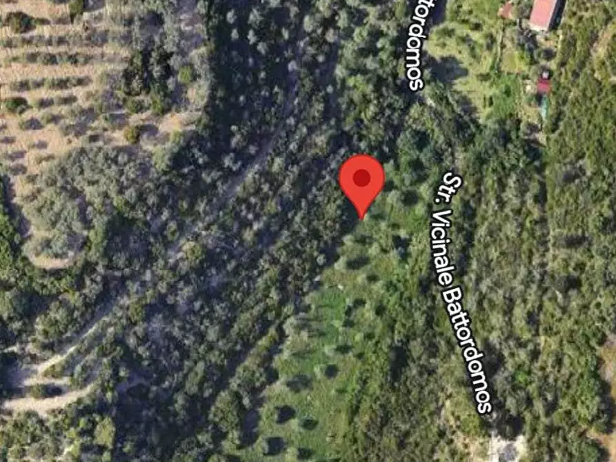 Immagine 1 di Terreno agricolo in vendita  in Strada Vicinale Battordomos 25 a Sassari