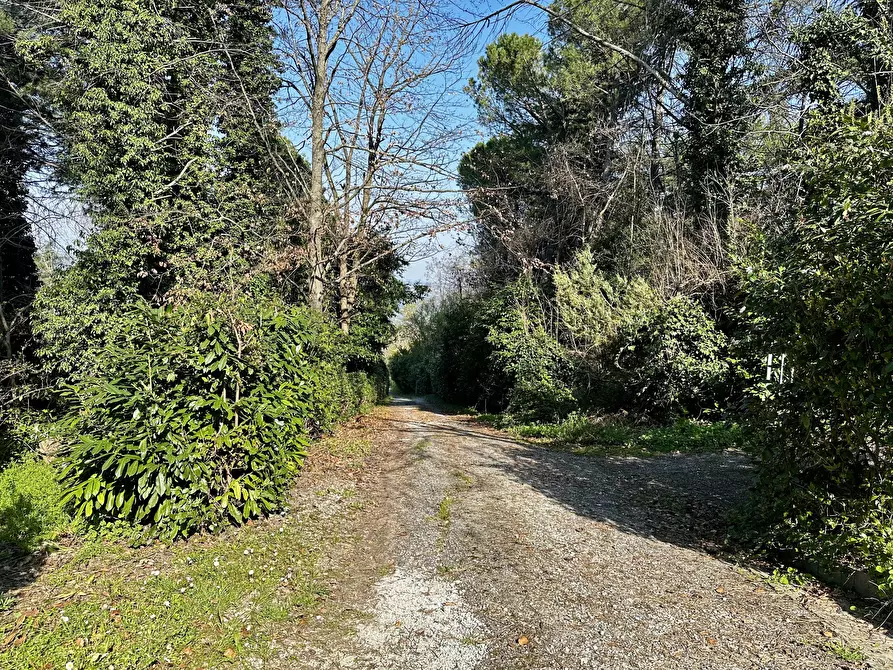 Immagine 12 di Rustico / casale in vendita  in Via Vicinale Santa Lucia a Cesena