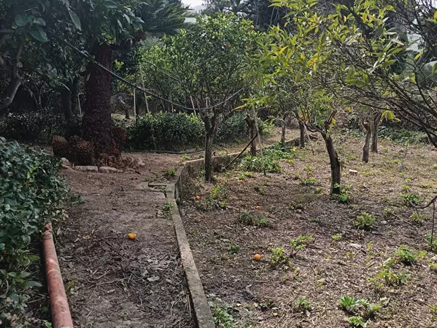 Immagine 17 di Villa in vendita  a Valderice