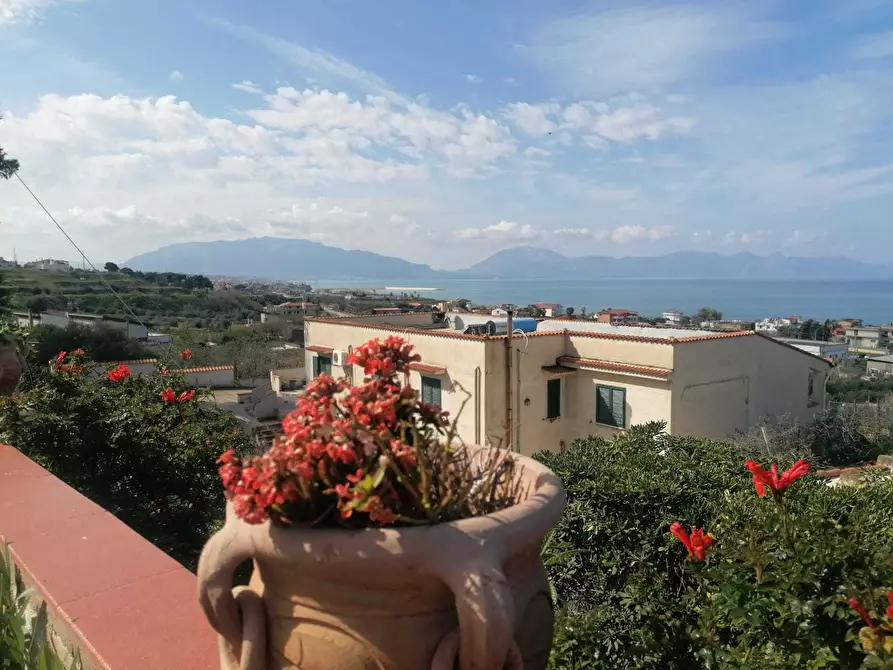 Immagine 32 di Villetta a schiera in vendita  a Trappeto