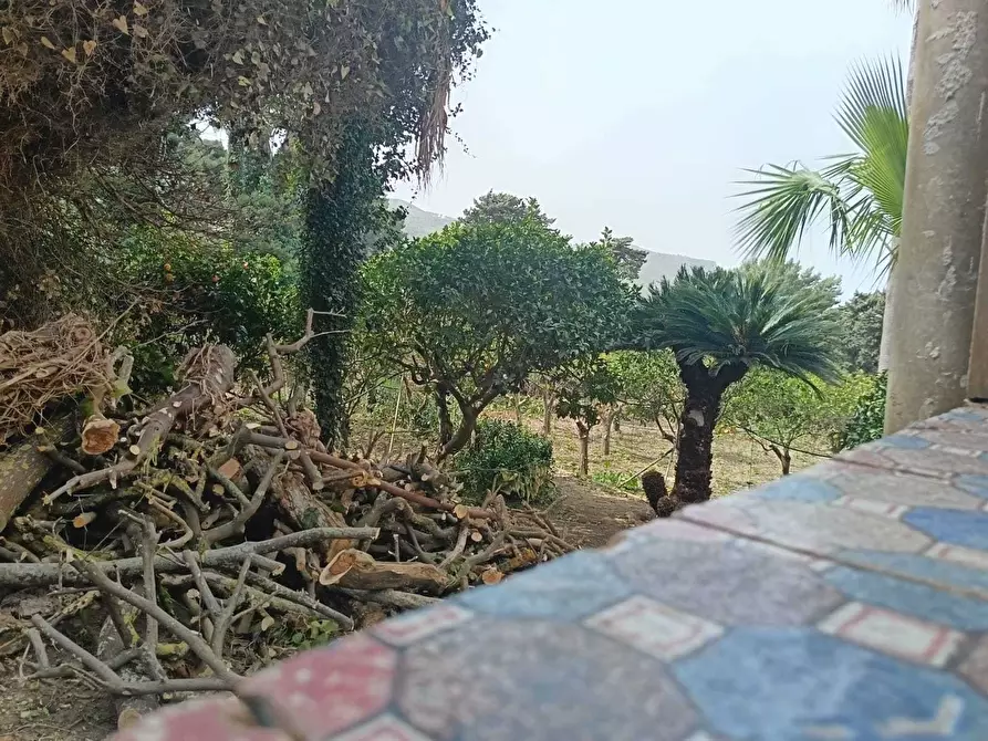 Immagine 45 di Villa in vendita  a Valderice