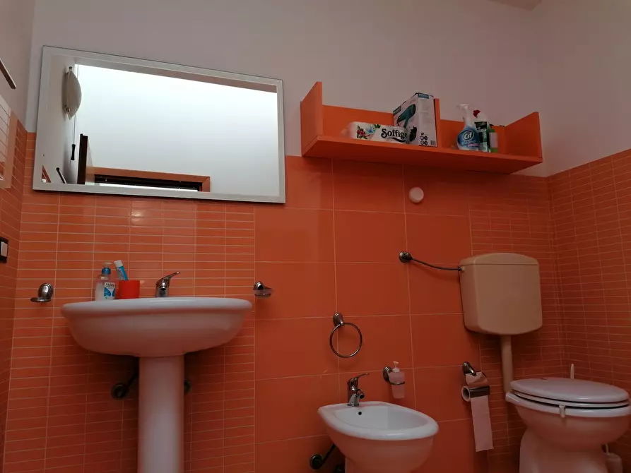 Immagine 26 di Trilocale in affitto  a Balestrate