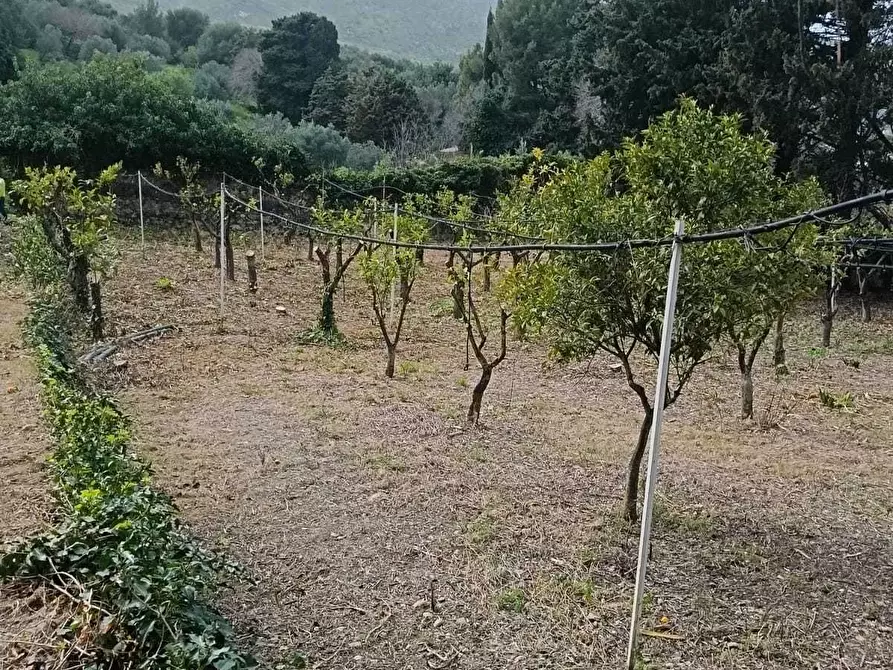 Immagine 20 di Villa in vendita  a Valderice