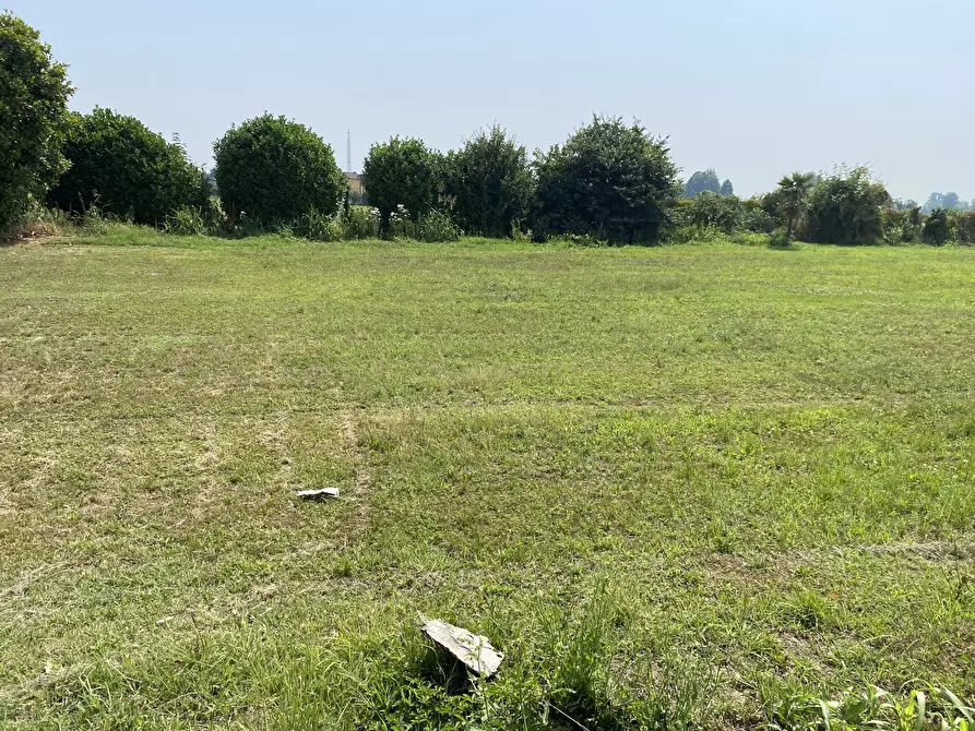 Immagine 12 di Terreno agricolo in vendita  in VIA CERCA 2 a Settala