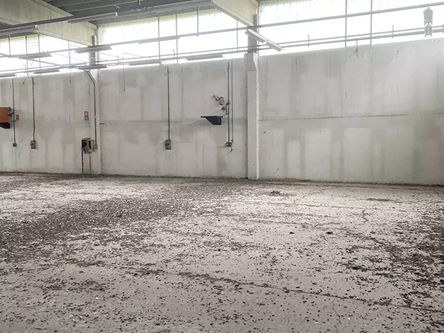Immagine 14 di Capannone industriale in affitto  in VIA BRODOLINI 5 a Casalpusterlengo