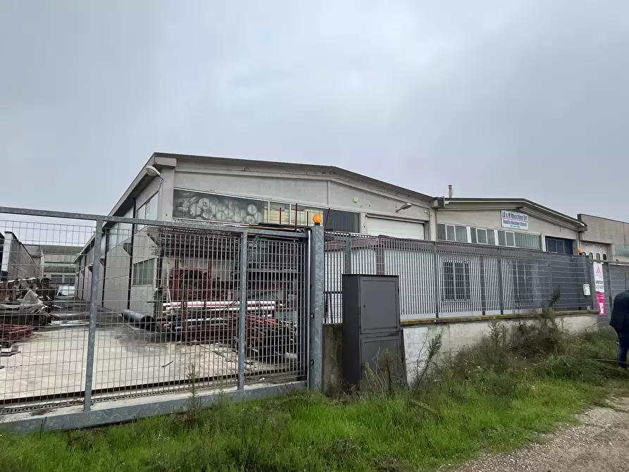 Immagine 3 di Capannone industriale in vendita  in Loc. Prado - Strada Paiola a Cura Carpignano