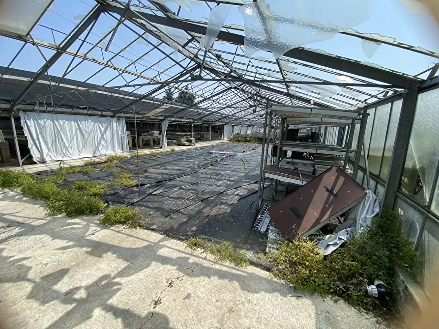 Immagine 11 di Terreno agricolo in vendita  in VIA CERCA 2 a Settala