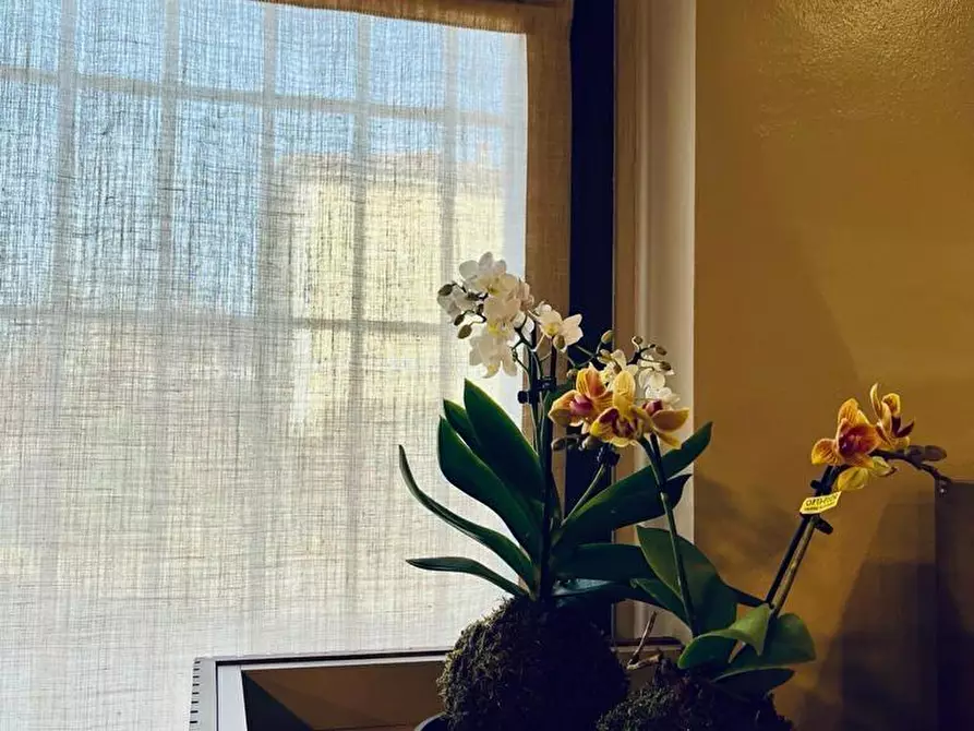 Immagine 8 di Bar / Ristorante in vendita  in VIA CREMONA 1 a Soncino