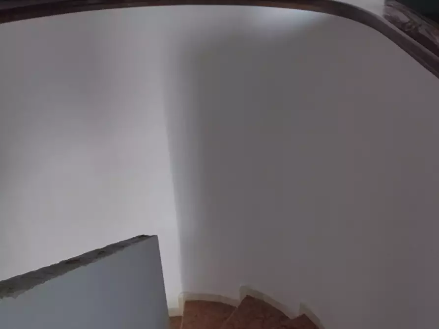 Immagine 12 di Villa in vendita  in Via Dossi 40 a Sabbioneta