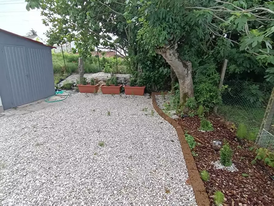 Immagine 18 di Rustico / casale in vendita  a Polesella