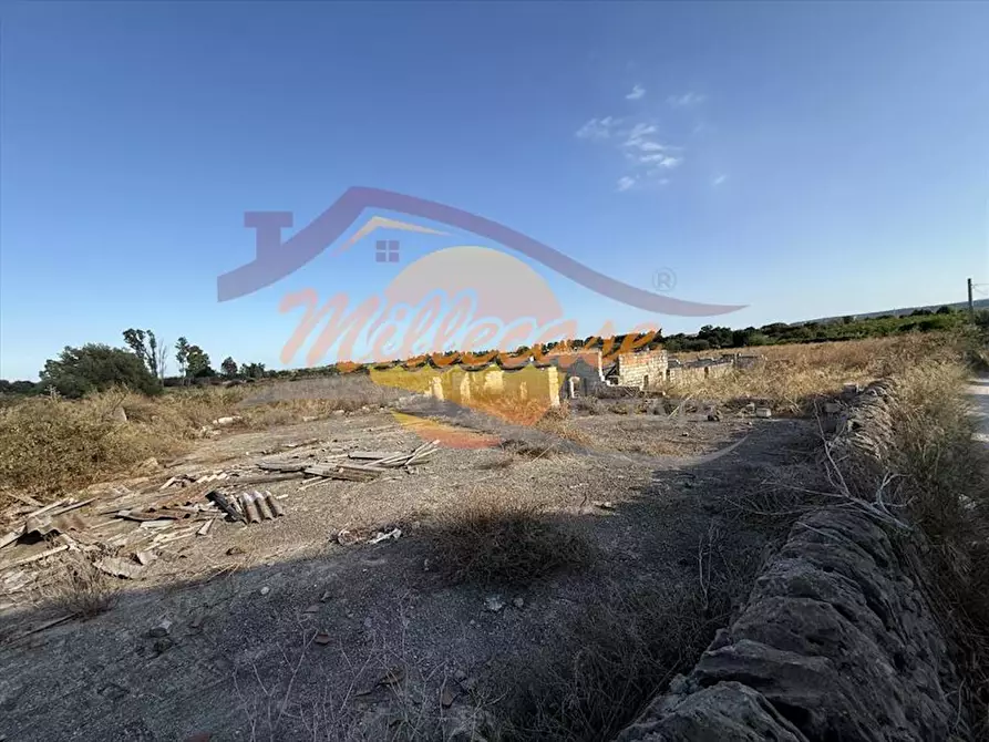 Immagine 18 di Terreno agricolo in vendita  in TRAVERSA SAN FRANCESCO a Siracusa