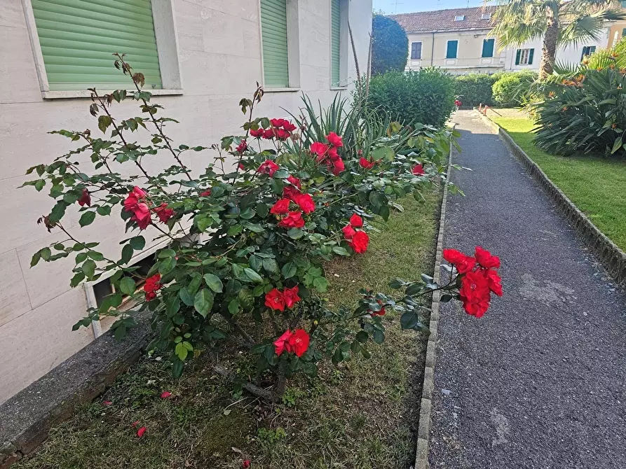 Immagine 39 di Trilocale in vendita  in Via Aurelia 84 a San Bartolomeo Al Mare