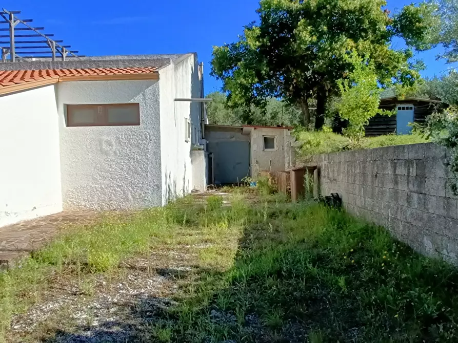 Immagine 6 di Palazzo in vendita  in Contrada Tavano a Pianopoli