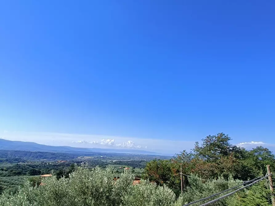 Immagine 16 di Villa in vendita  in SP79 a Feroleto Antico