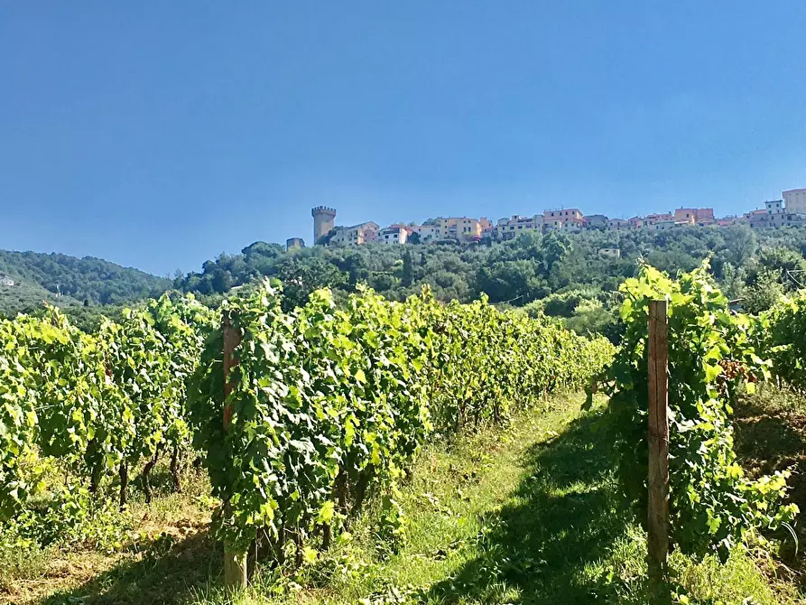 Immagine 22 di Rustico / casale in vendita  a Castelnuovo Magra