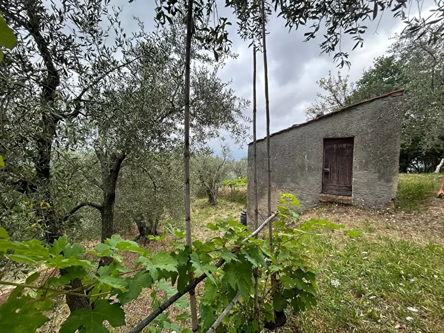 Immagine 6 di Terreno edificabile in vendita  a Arcola