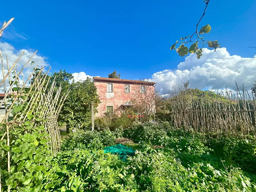 Immagine 18 di Rustico / casale in vendita  a Sarzana