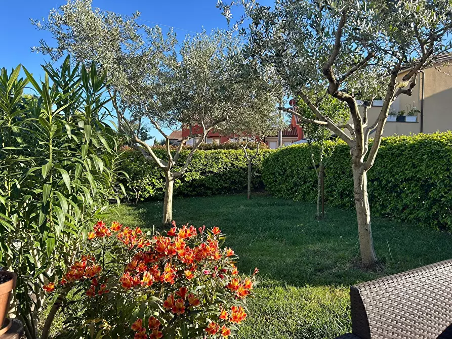 Immagine 3 di Terratetto in vendita  a Sarzana