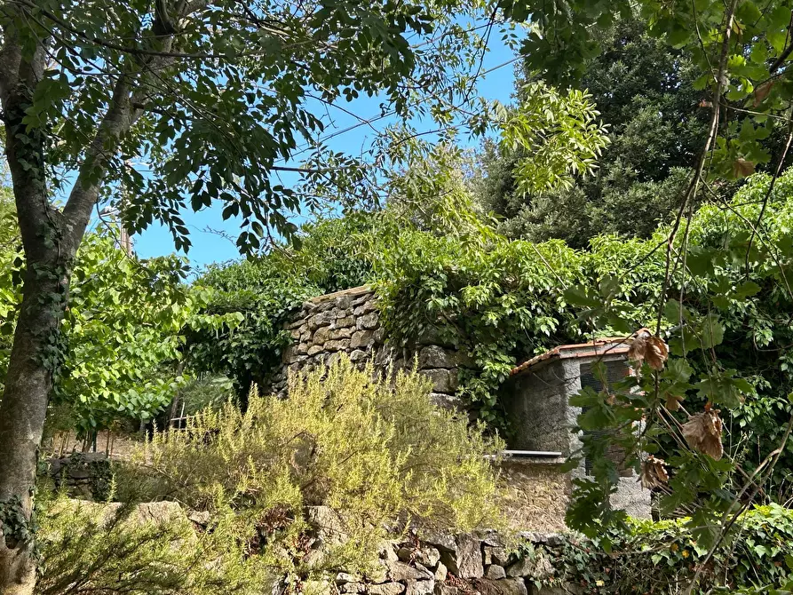 Immagine 5 di Rustico / casale in vendita  a Ameglia