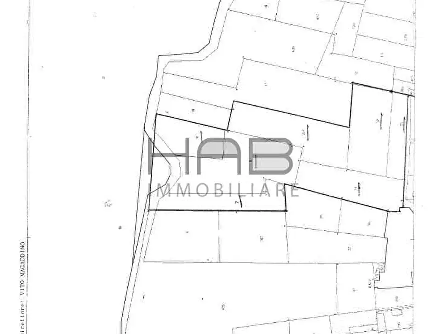 Immagine 5 di Terreno agricolo in vendita  a Valderice