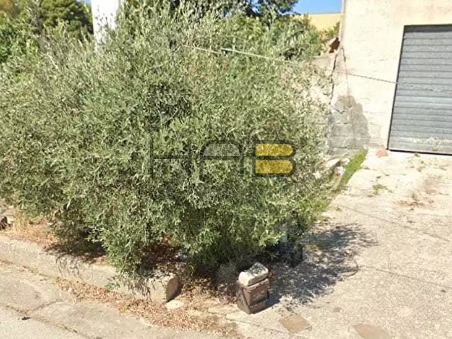 Immagine 3 di Terreno industriale in vendita  a Buseto Palizzolo