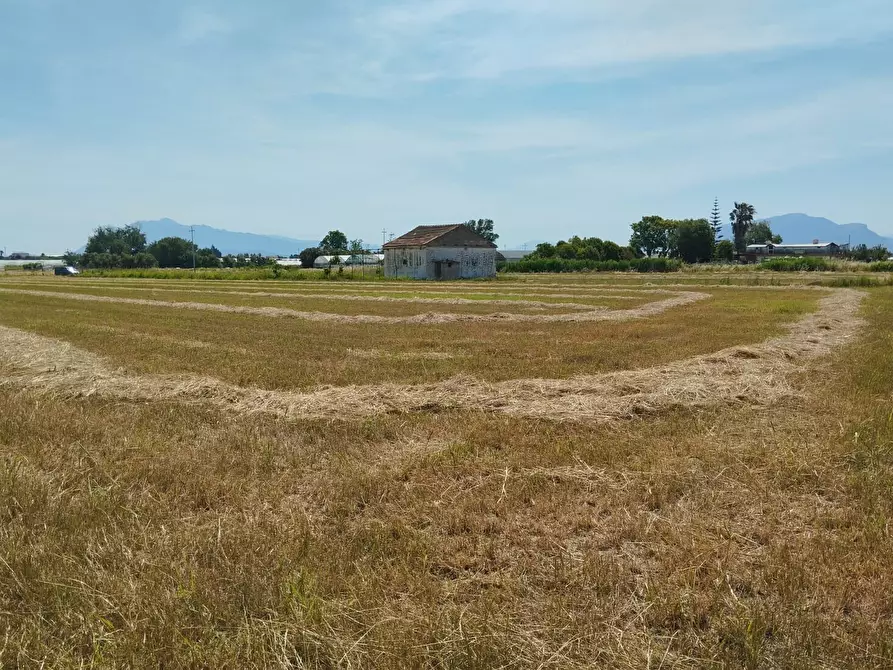 Immagine 11 di Terreno agricolo in vendita  in via bernardo tanucci a Eboli