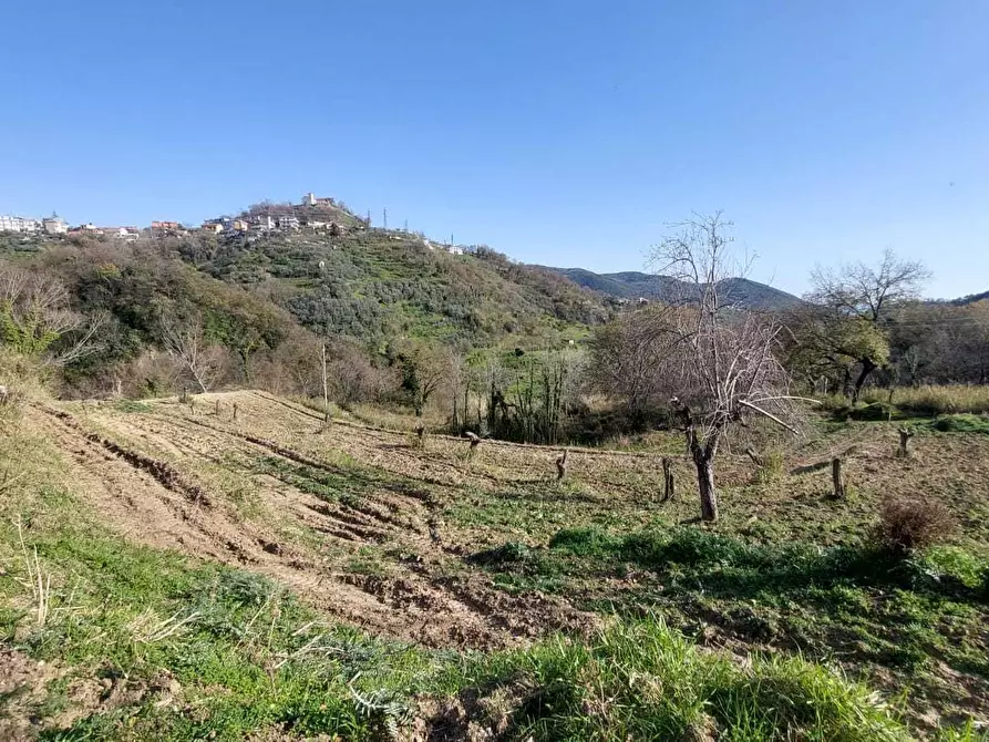 Immagine 12 di Terreno agricolo in vendita  in via casa vicinanza a Salerno